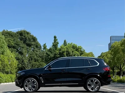 2022 BMW X5 Facelift xDrive 40Li Premium M Sport Package, фото 3, лот 10431574