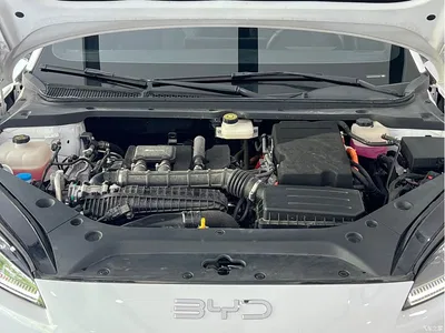 2024 BYD Seal 06 New Energy DM-i 120KM Flagship, фото 4, лот 10273937