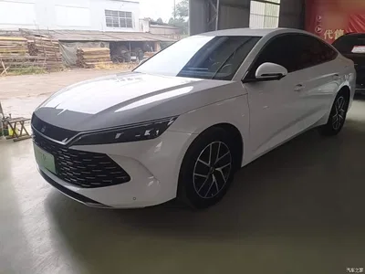 2024 BYD Qin L DM-i 80KM Superior, фото 1, лот 11199610