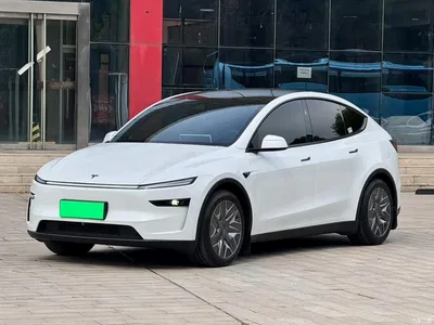 2025 Tesla Model Y L, фото 1, лот 11195408