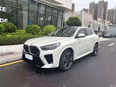 2024 BMW X2 (Import) sDrive25i M Sport Package, фото 1, лот 10412242
