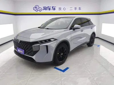 2021 Venucia Big V 260T Idol Edition, фото 1, лот 11153917