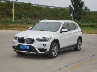 2019 BMW X1 sDrive20Li Leading Model, фото 3, лот 10817496