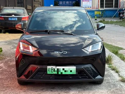 2024 BYD Seagull Glory Edition 405km Soaring Edition, фото 2, лот 10434959