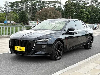 2025 Hongqi H5 2.0T Automatic Mystic Shadow, фото 1, лот 10286957