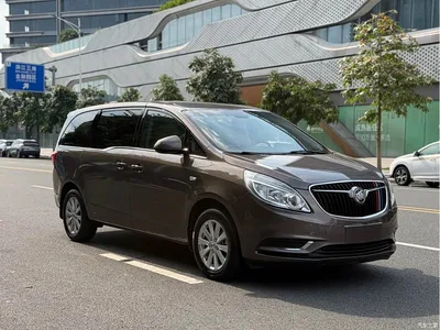 2017 Buick GL8 25S Comfort China V, фото 3, лот 10253065