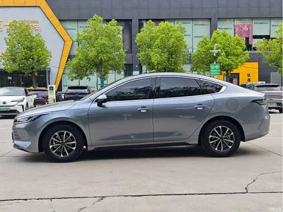 2024 BYD Destroyer 05 Glory Edition DM-i 55KM Luxury, фото 3, лот 10251340
