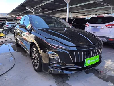 2023 Hongqi E-QM5 Facelift Basic Travel Edition, фото 4, лот 10289717