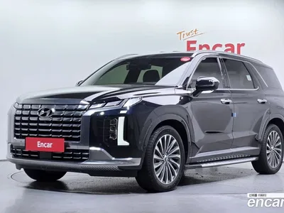 2024 Hyundai Palisade Diesel 2.2 4WD, фото 1, лот 10686382