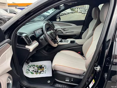 2023 BYD Song Pro New Energy Champion Edition DM-i 110KM Surpassing Type, фото 4, лот 10272871