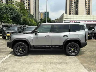 2023 Jetour Traveler Model 2.0T 4WD Cross PRO, фото 3, лот 10430525