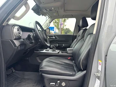 2021 Tank 300 Off-road Version 2.0T Conqueror, фото 4, лот 10450290
