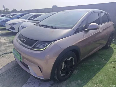 2021 BYD Dolphin Model 405km Fashion Edition, фото 1, лот 11178663