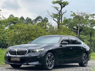 2025 BMW 5 Series 530Li Leading M Sport Package, фото 1, лот 10443901