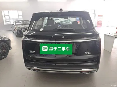 2024 Hongqi HS7 PHEV 2.0T PHEV 4WD Flagship Edition 6-seater, фото 4, лот 10289636