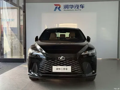 2025 Lexus RX 300 4WD Premium Edition, фото 2, лот 10444244