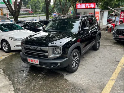 2024 Haval Big Dog 1.5T DCT Border Collie Edition, фото 3, лот 10594390