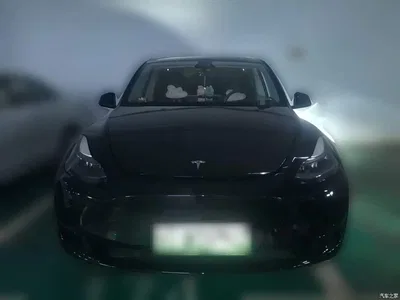 2022 Tesla Model Y Rear-Wheel Drive Version, фото 3, лот 10376692