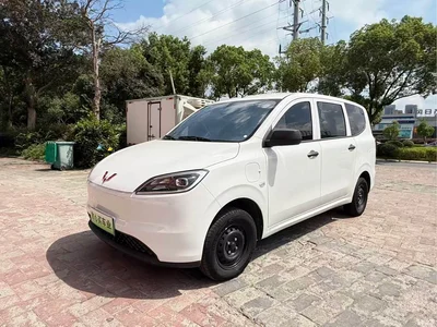 2024 Wuling Motors Wuling Hongguang New Energy Pure Electric 300KM Standard, фото 1, лот 11167529