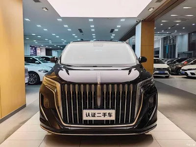 2023 Hongqi HQ9 2.0T Smart Connect Flag Rhyme Edition, фото 3, лот 10916969