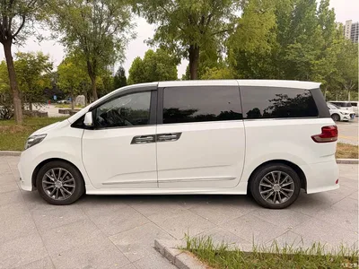 2018 SAIC Maxus Maxus G10 PLUS 1.9T Automatic Luxury Executive Edition Diesel, фото 3, лот 11148193