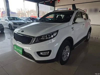 2016 Kia Sportage 2.0L Automatic 2WD GL, фото 1, лот 10338511