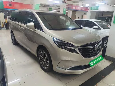 2021 Buick GL8 ES Landlord 653T Luxury, фото 4, лот 11067755