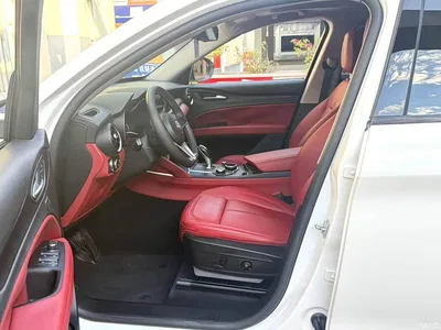 2017 Alfa Romeo Stelvio 2.0T 200HP Elite, фото 3, лот 10240307