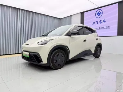 2024 BYD Seagull Glory Edition 305km Vitality Edition, фото 1, лот 10434951