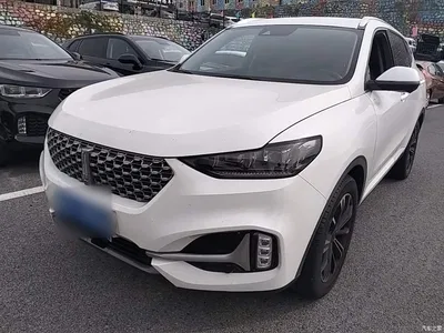 2021 WEY VV6 2.0T 2WD Smart Protection+, фото 2, лот 11203123