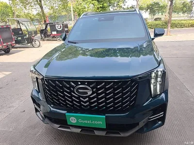 2022 GAC Trumpchi Trumpchi GS8 Pilot Series 2.0TGDI 2WD Luxury Smart Connect Edition (7-Seater), фото 3, лот 11135877