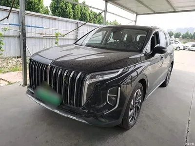 2024 Hongqi HS7 PHEV 2.0T PHEV 4WD Flagship Edition 6-seater, фото 1, лот 10289704