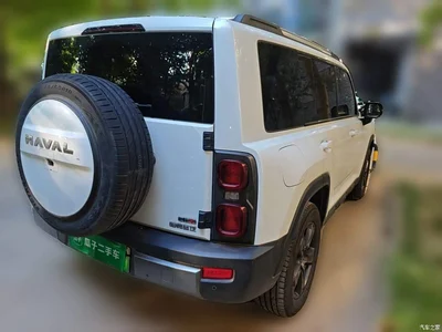 2023 Haval Meng Long NEV Model Hi4 145 Explorer Edition, фото 4, лот 10440101