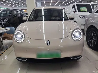 2022 Ora Good Cat 400km Standard Range Premium NMC, фото 3, лот 10889928