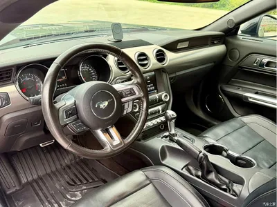 2015 Ford Mustang 2.3T 50th Anniversary Edition, фото 4, лот 10769147