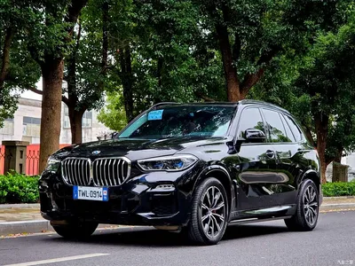 2020 BMW X5 (Import) xDrive40i M Sport Package, фото 2, лот 11314559