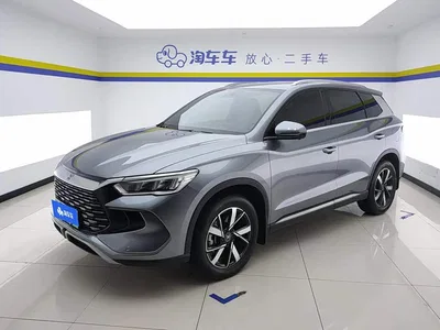 2024 BYD Song Pro New Energy Glory Edition DM-i 71KM Pilot, фото 1, лот 10395904