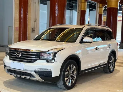 2017 GAC Trumpchi Trumpchi GS8 320T 2WD Luxury Smart Connect (7-seater), фото 1, лот 10418307