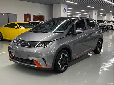 2021 BYD Dolphin Model 405km Fashion Edition, фото 1, лот 11095632