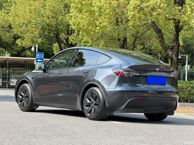 2023 Tesla Model Y Rear-Wheel Drive Edition, фото 4, лот 10444665