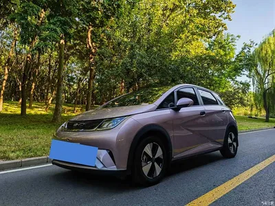 2024 BYD Dolphin Glory Edition 420km Fashion Edition, фото 1, лот 11188834