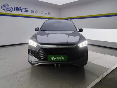 2024 BYD Song Pro New Energy Glory Edition DM-i 71KM Pilot, фото 3, лот 10448225