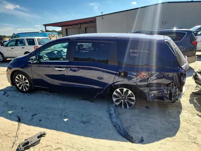 2024 HONDA ODYSSEY EXL, фото 2, лот 10718660