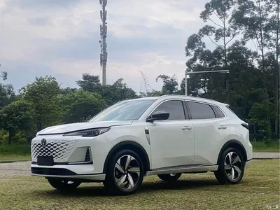 2024 Changan CS55 PLUS 3rd Generation 1.5T DCT Premium, фото 1, лот 10629808