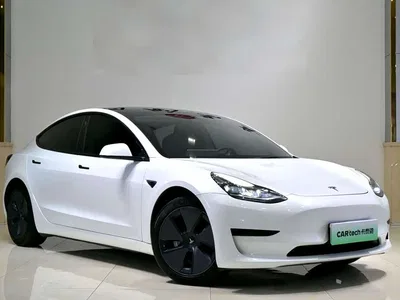 2021 Tesla Model 3 Standard Range Rear-Wheel Drive Upgrade, фото 3, лот 10304696