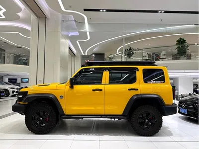 2022 Tank 300 2.0T Border Limited Edition, фото 4, лот 10344435