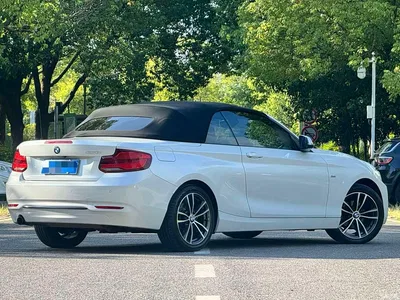 2018 BMW 2 Series (Import) 220i Convertible Coupe Sport Design Package, фото 4, лот 10471407
