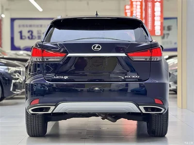 2020 Lexus RX 300 2WD Elite Edition China VI, фото 3, лот 10312709