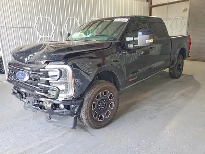 2025 FORD F250 SUPER DUTY, фото 1, лот 10532313