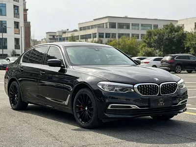 2020 BMW 5 Series 530Li Premium Luxury Package, фото 3, лот 10706445
